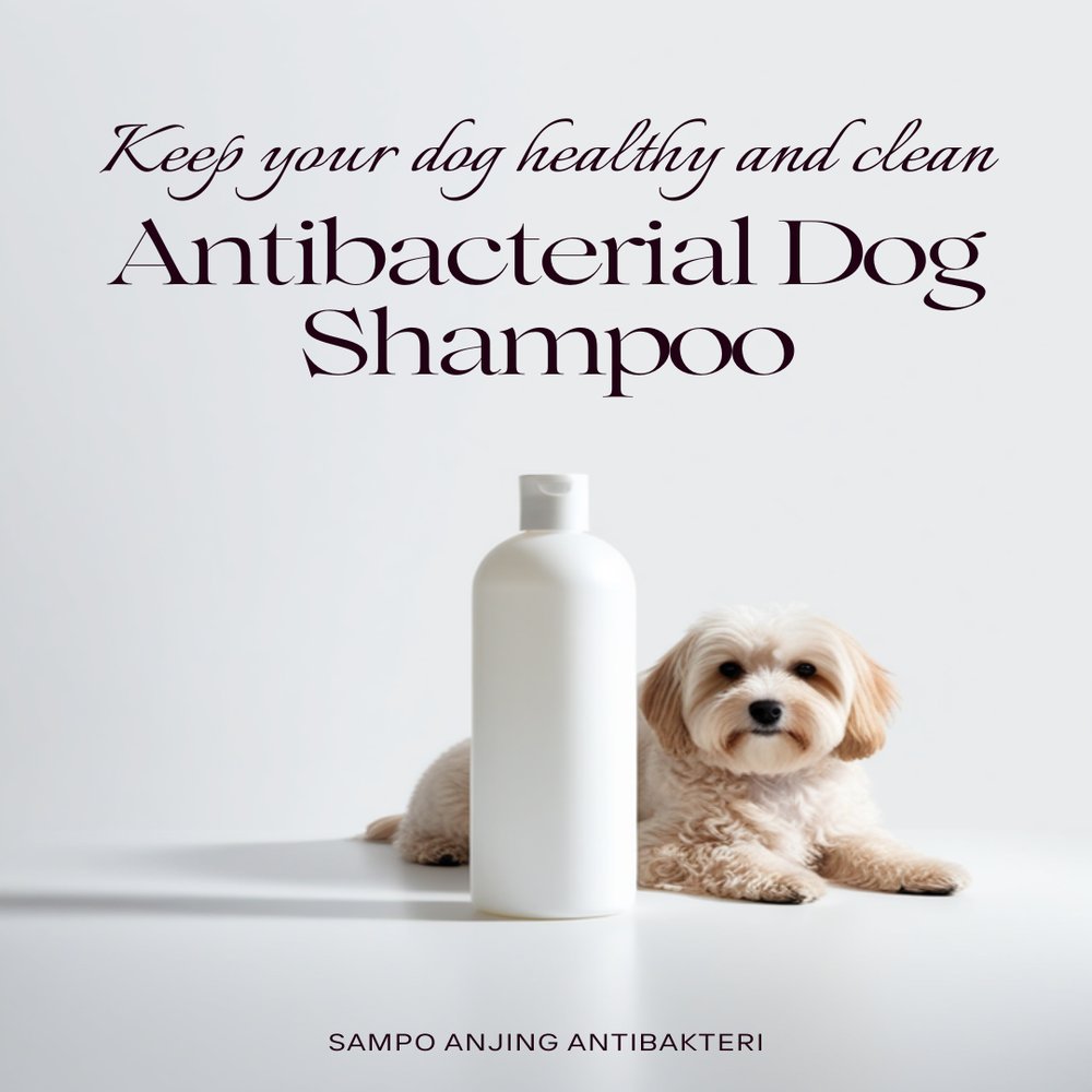 Sampo Anjing Antibakteri